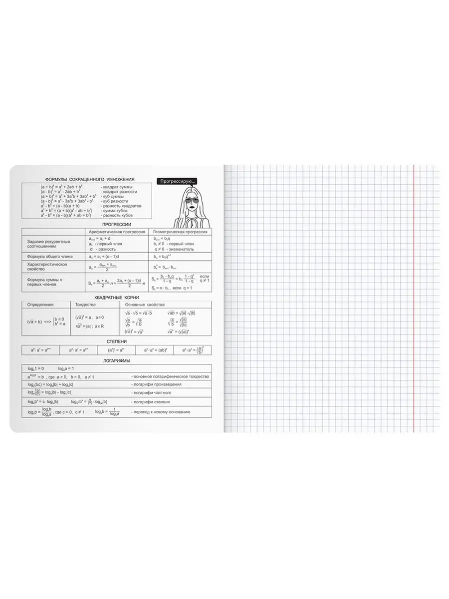 Тетрадь BG 48 лист. 12 шт. (Алгебра, Английский язык, Биология, Физика, География, Геометрия, Химия, Информатика, История, Литература, Обществознание, Русский язык) - фото 6