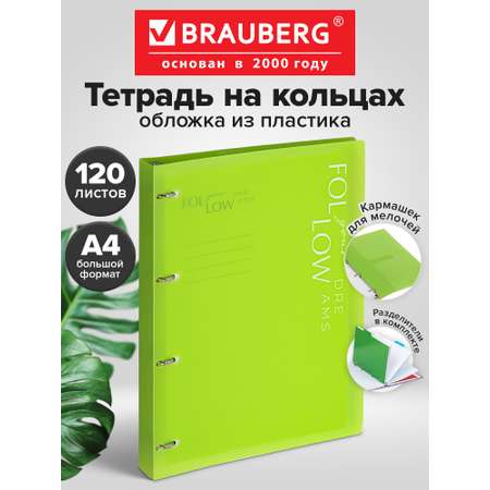 Тетрадь со сменным блоком Brauberg клетка 120 лист.