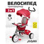 Трехколесный велосипед Moby kids 10 дюймов