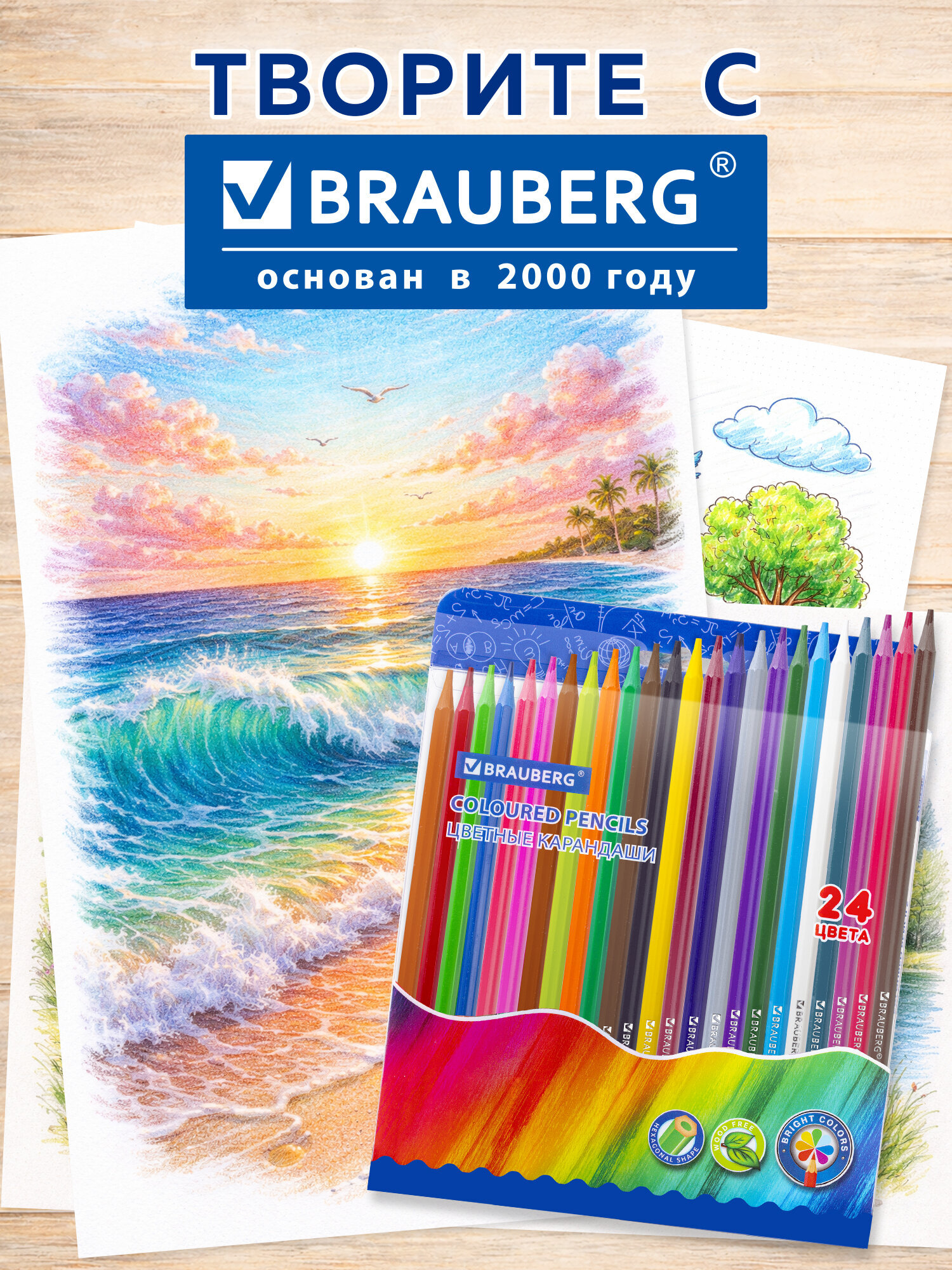 Карандаши цветные Brauberg 24 шт. - фото 8