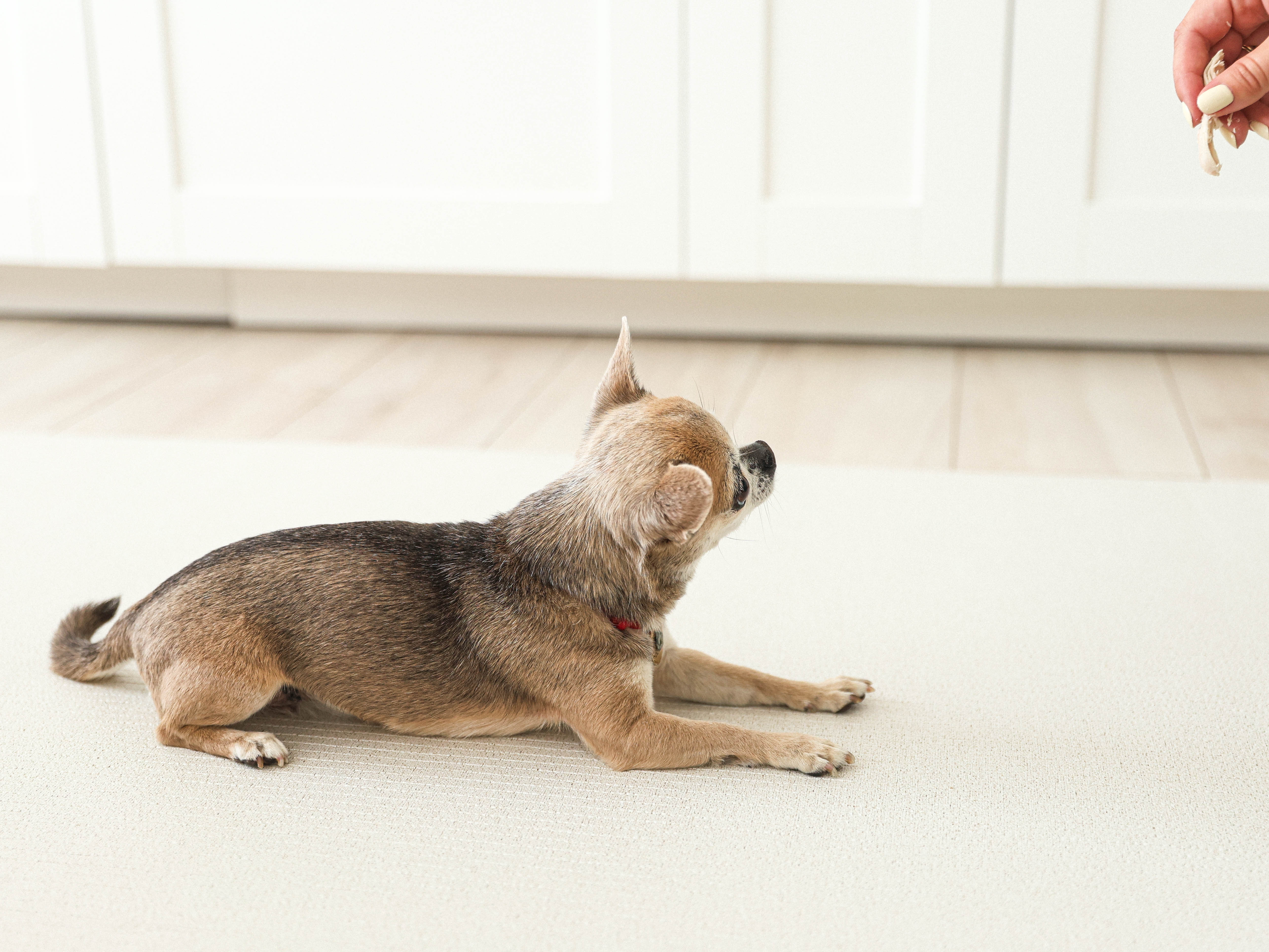 Коврик для животных Parklon Cushion 140х100х0,5см - фото 2