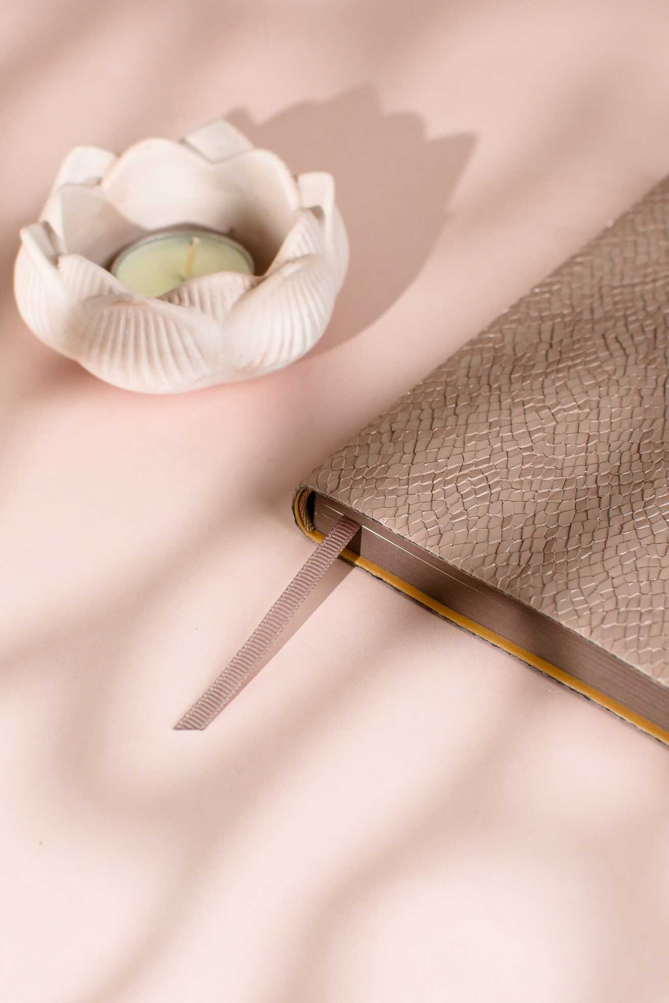 Ежедневник Феникс + ESCALADA 160 лист. - фото 17