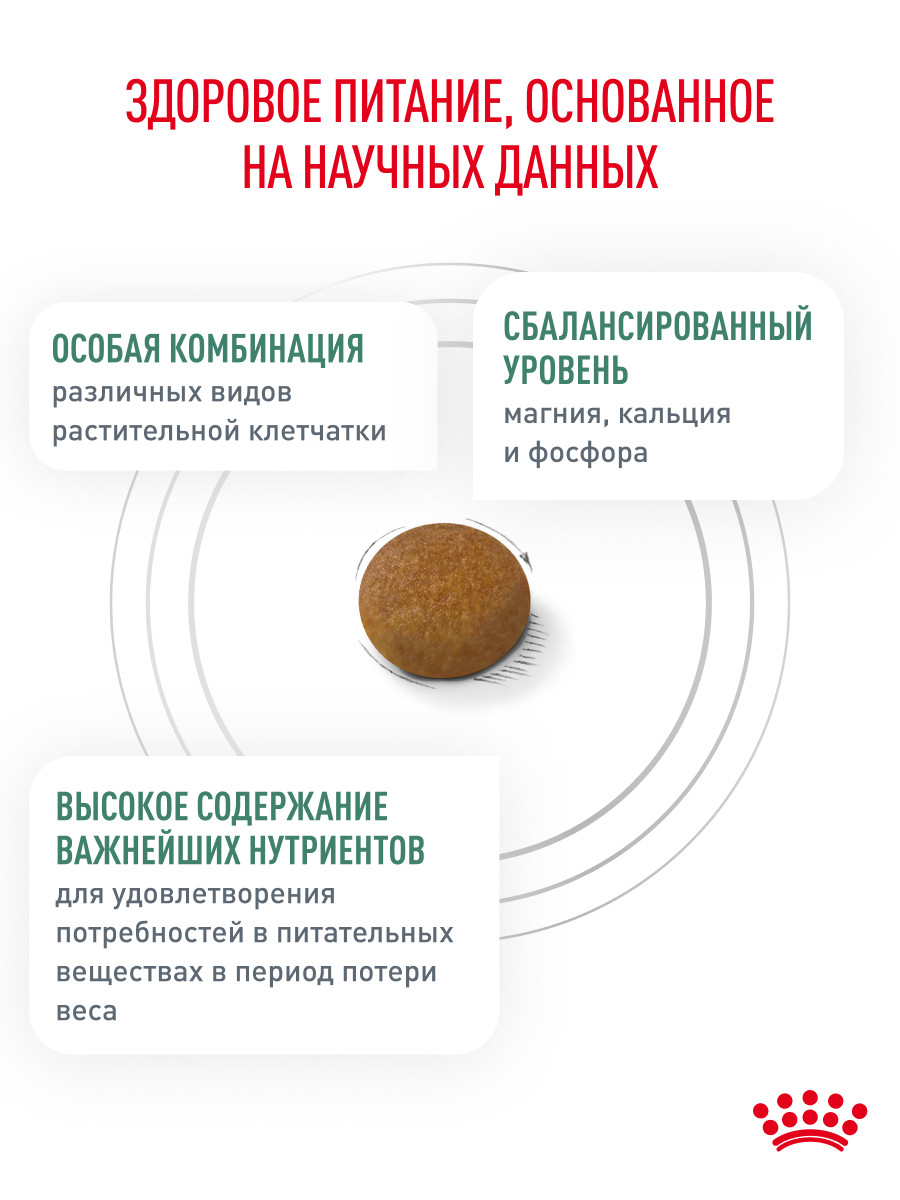 Корм для собак Royal Canin 3кг полнорационный для взрослых собак мелких пород для снижения веса - фото 4