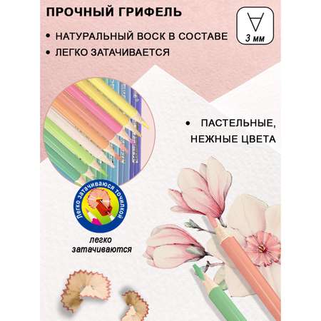 Карандаши пастельные ACMELIAE 12 шт.
