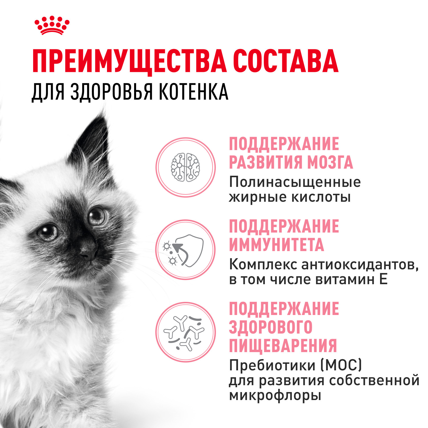 Корм сухой для котят ROYAL CANIN Kitten 2кг - фото 3