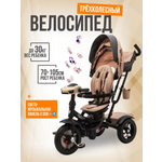 Трехколесный велосипед ZigZag 12 дюймов