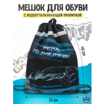 Мешок для обуви ПАНДАРОГ