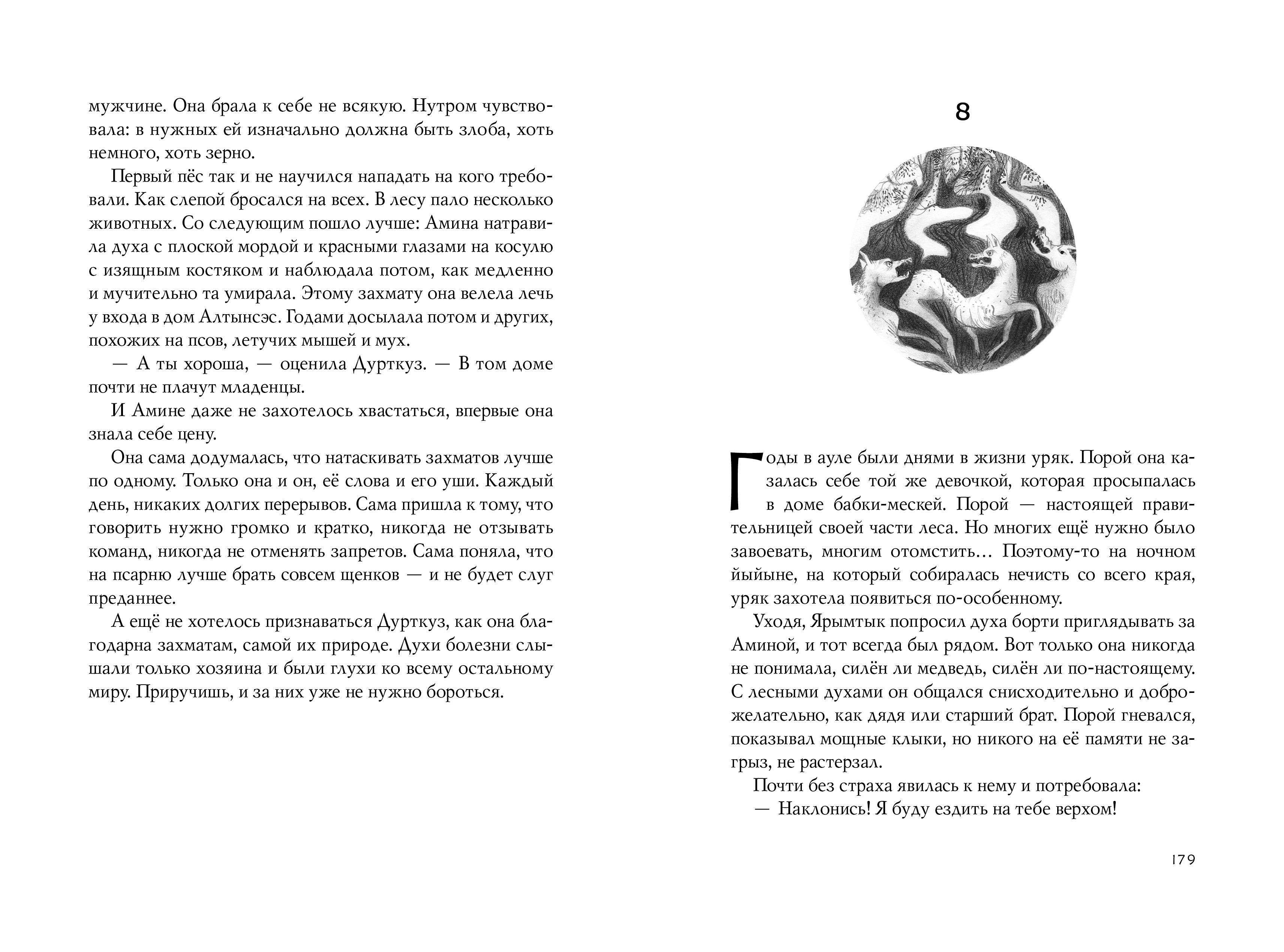 Книга Волчок Аул - фото 10