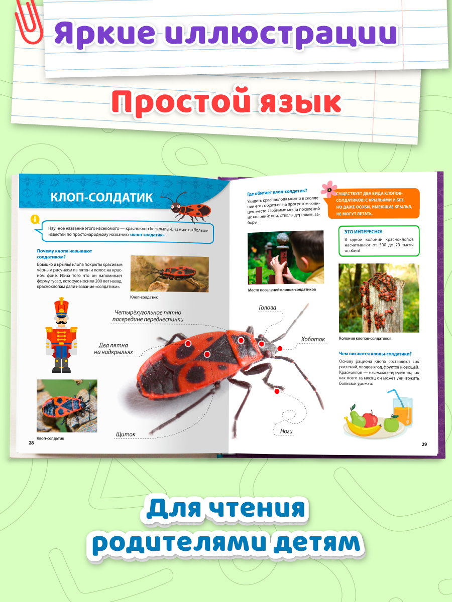 Книга Проф-Пресс Первая детская энциклопедия Всё о насекомых малышам - фото 2