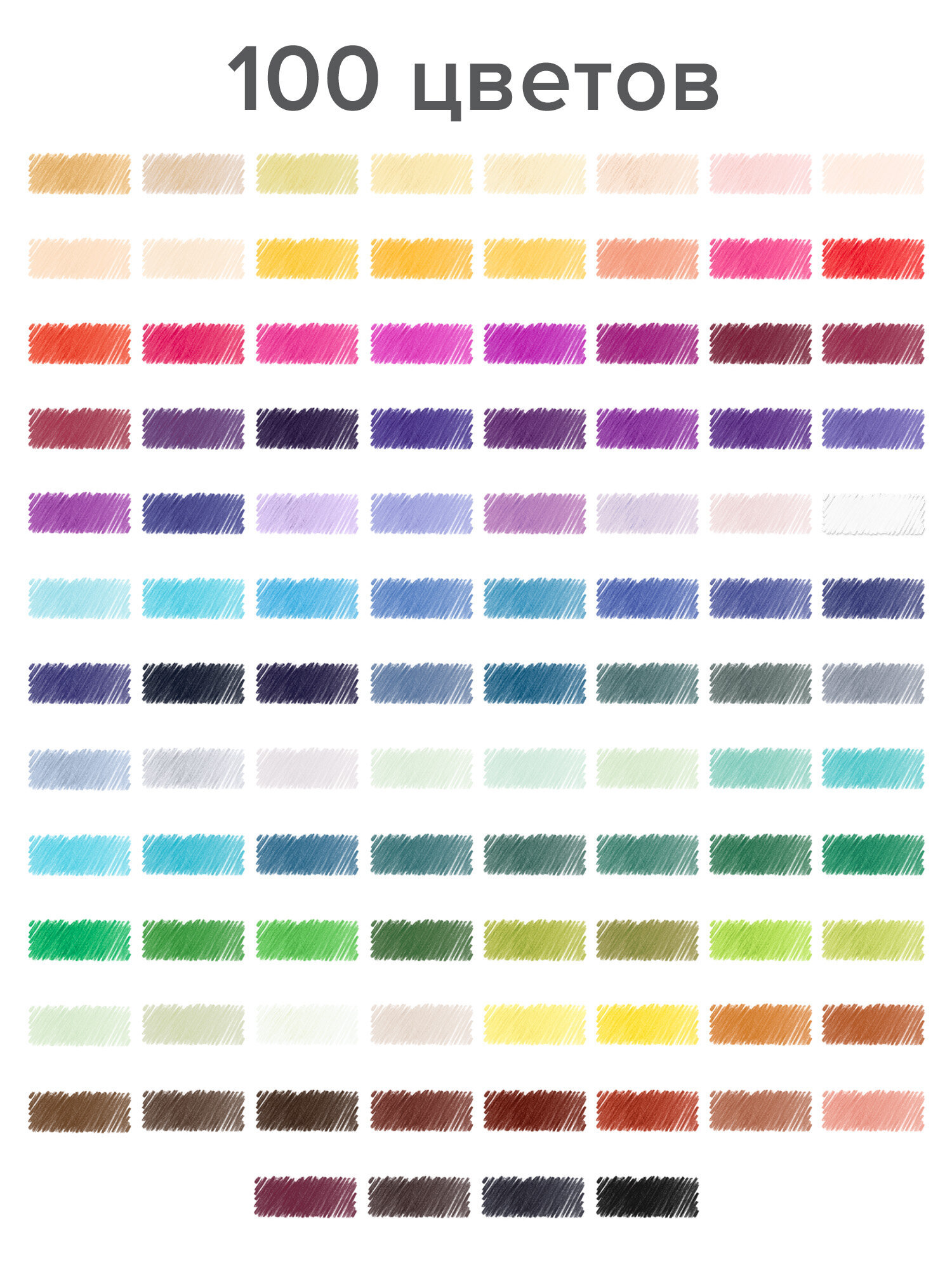 Карандаши цветные Brauberg 100 шт. - фото 2