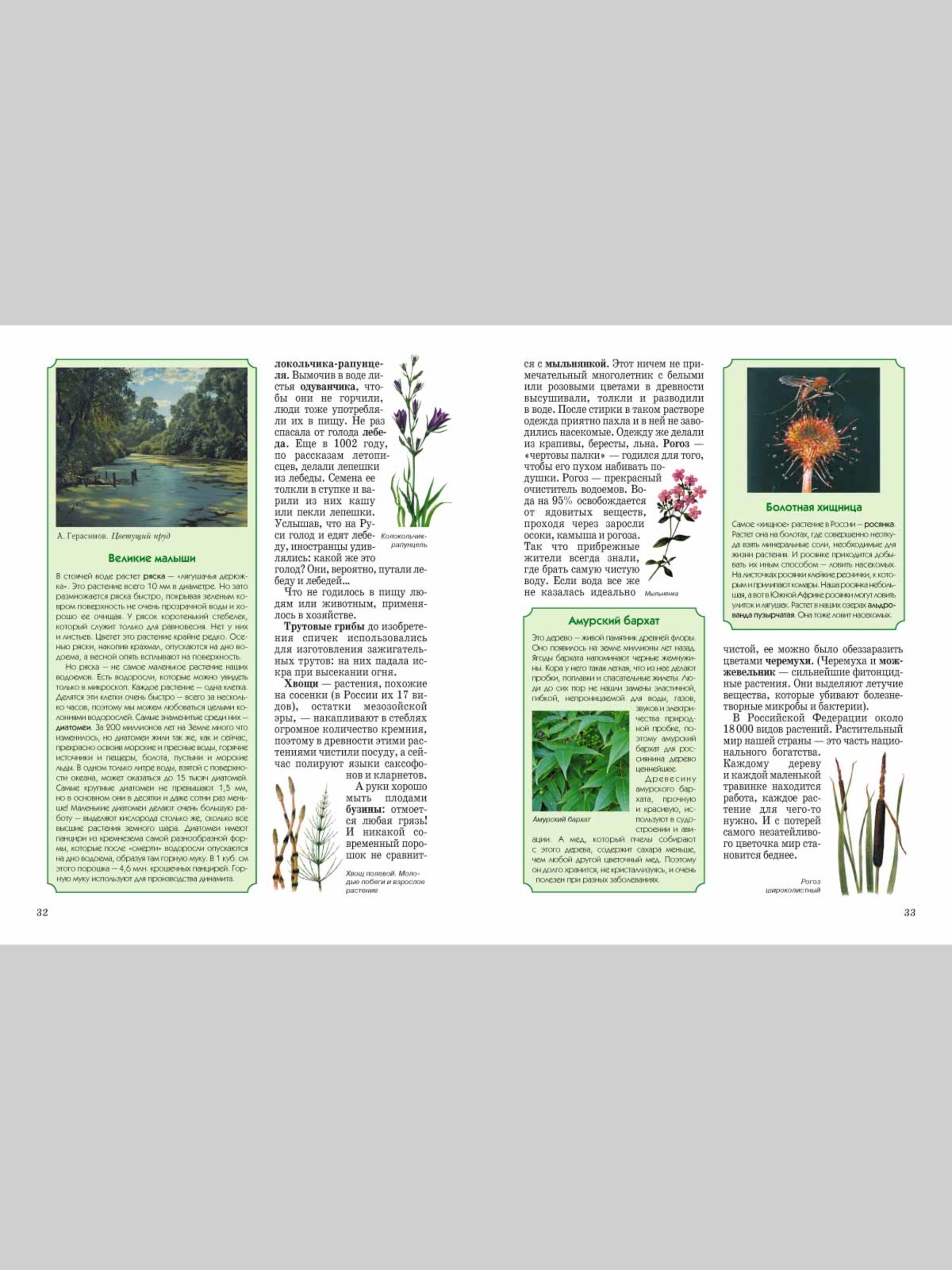 Книга Белый город Природа России - фото 7