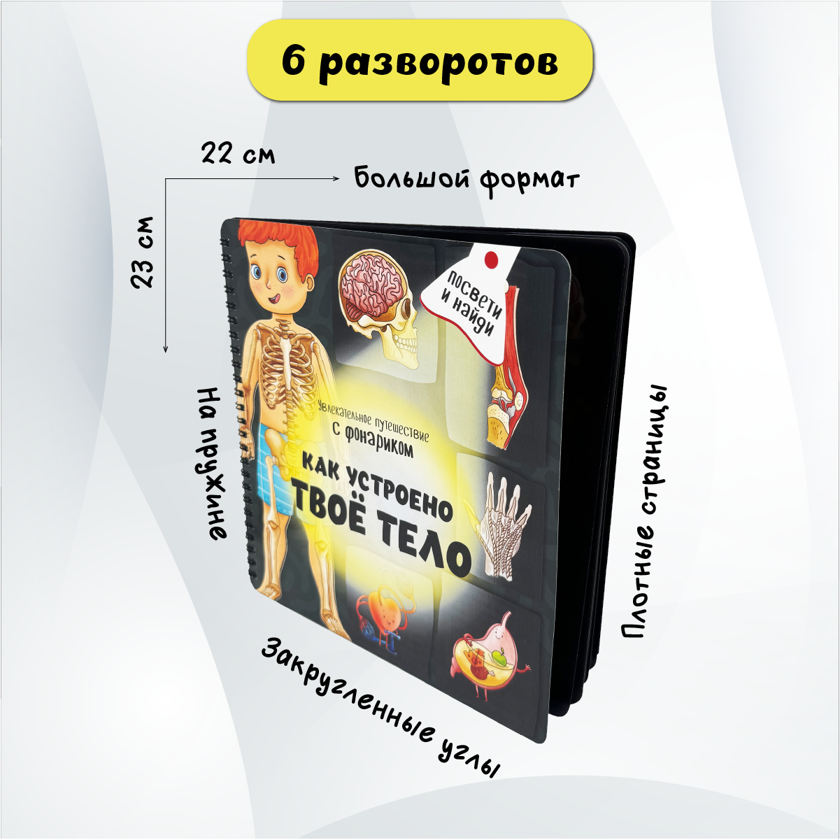 Детская книга БимБиМон с фонариком Как устроено твое тело - фото 3