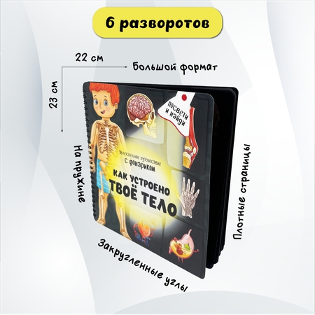 Детская книга БимБиМон с фонариком Как устроено твое тело