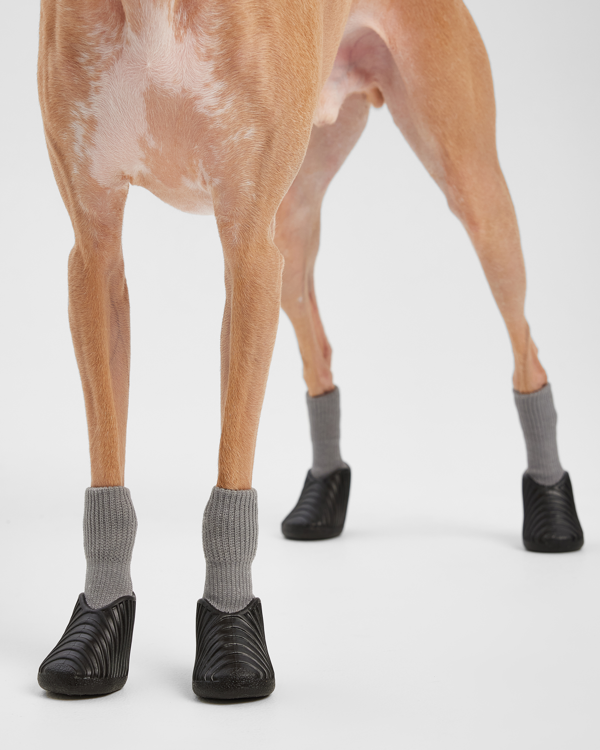 Ботинки для собак Зоозавр 4 шт - фото 6