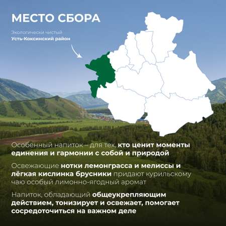Напиток чайный Предгорья Белухи Курильский чай в пакетиках с лемонграссом мелиссой брусникой 27 гр