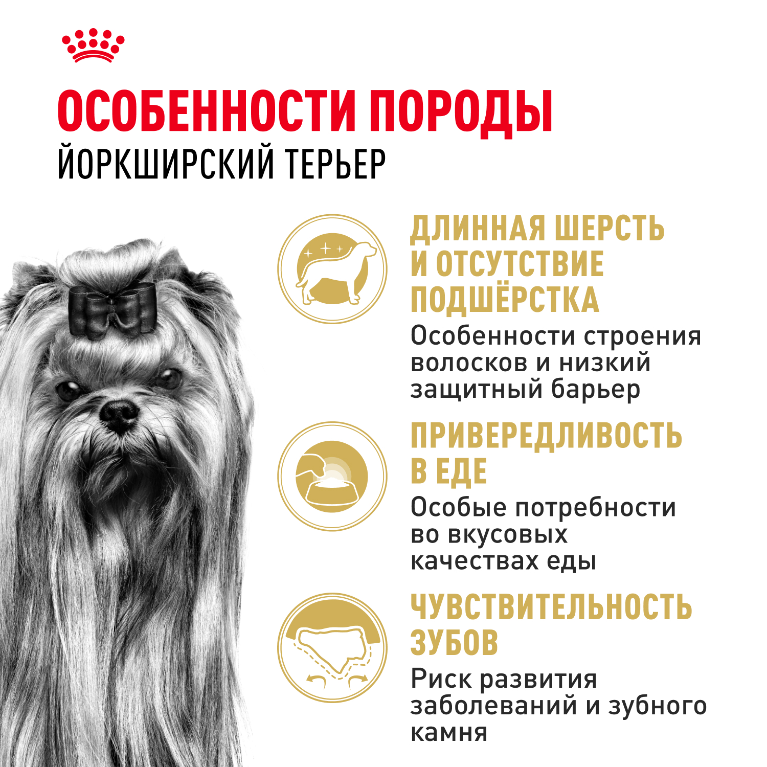 Корм для собак ROYAL CANIN породы йоркширский терьер 1.5кг - фото 3