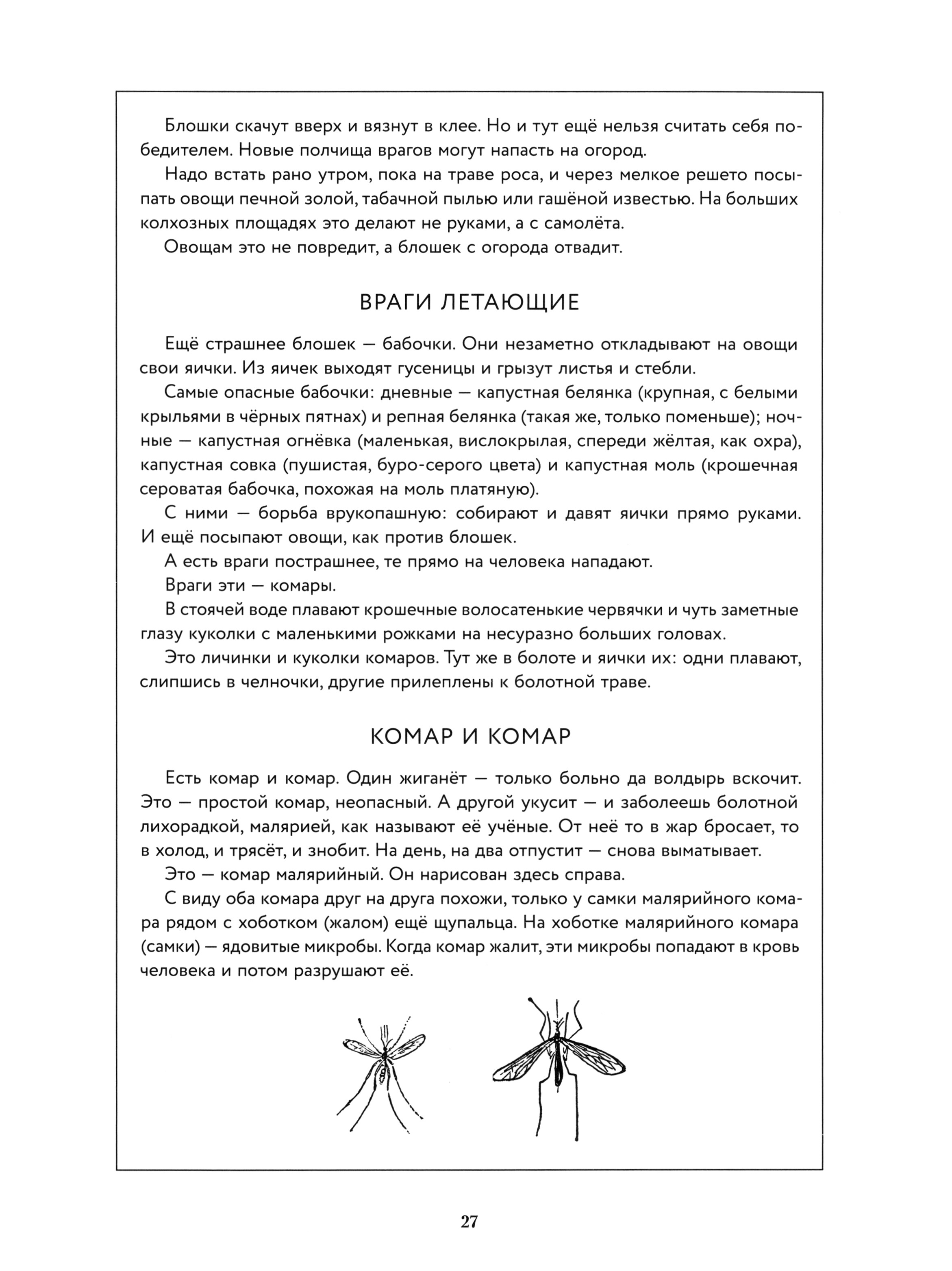 Книга ИД Мещерякова Лесная газета Лето - фото 6