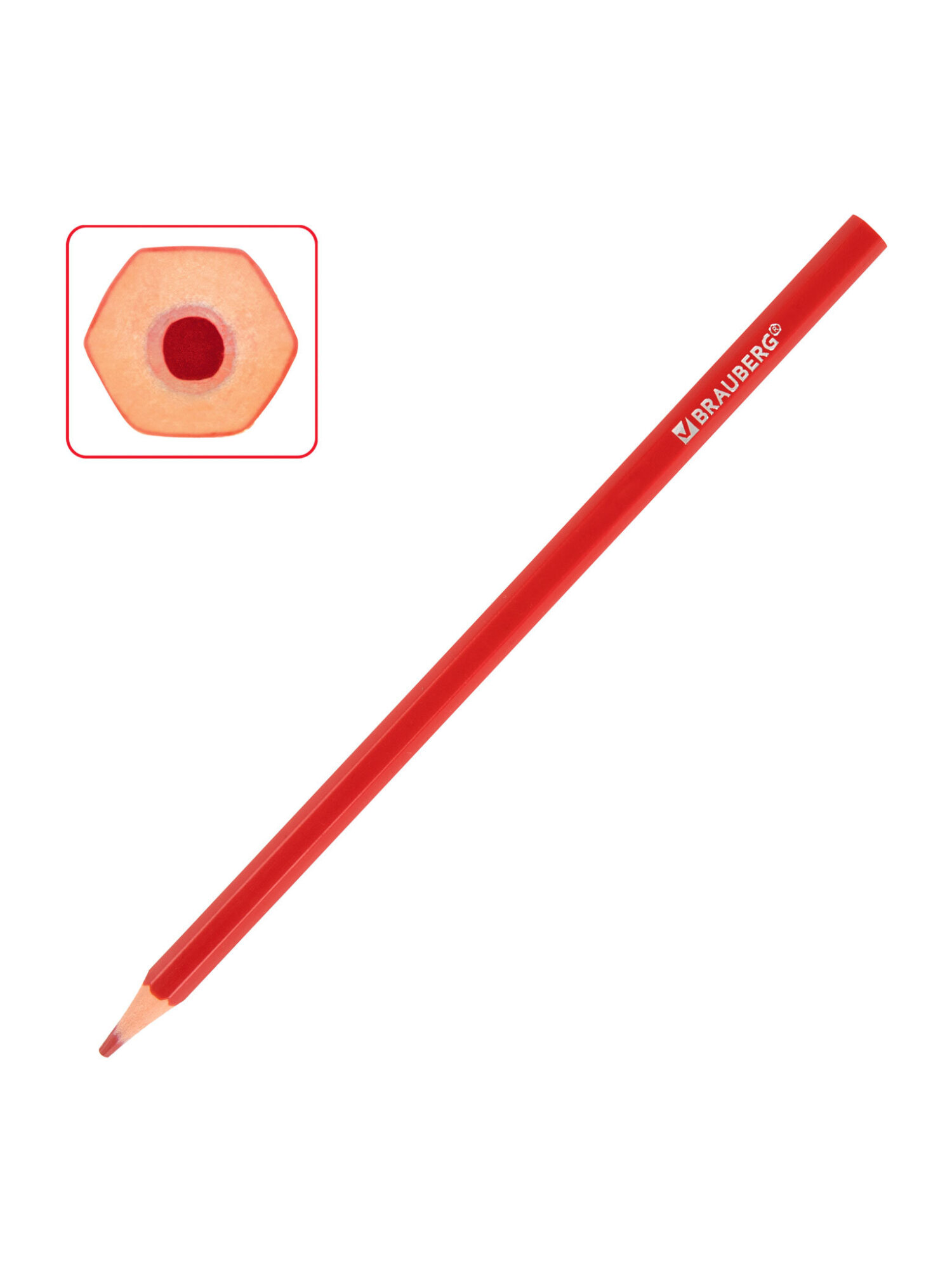 Карандаши цветные Brauberg 48 шт. - фото 11