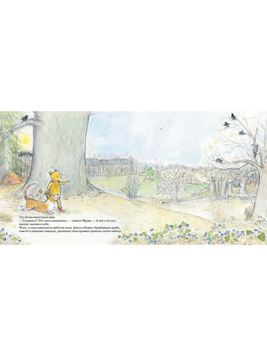 Книга Мелик-Пашаев Весна мишки Бруно - фото 2