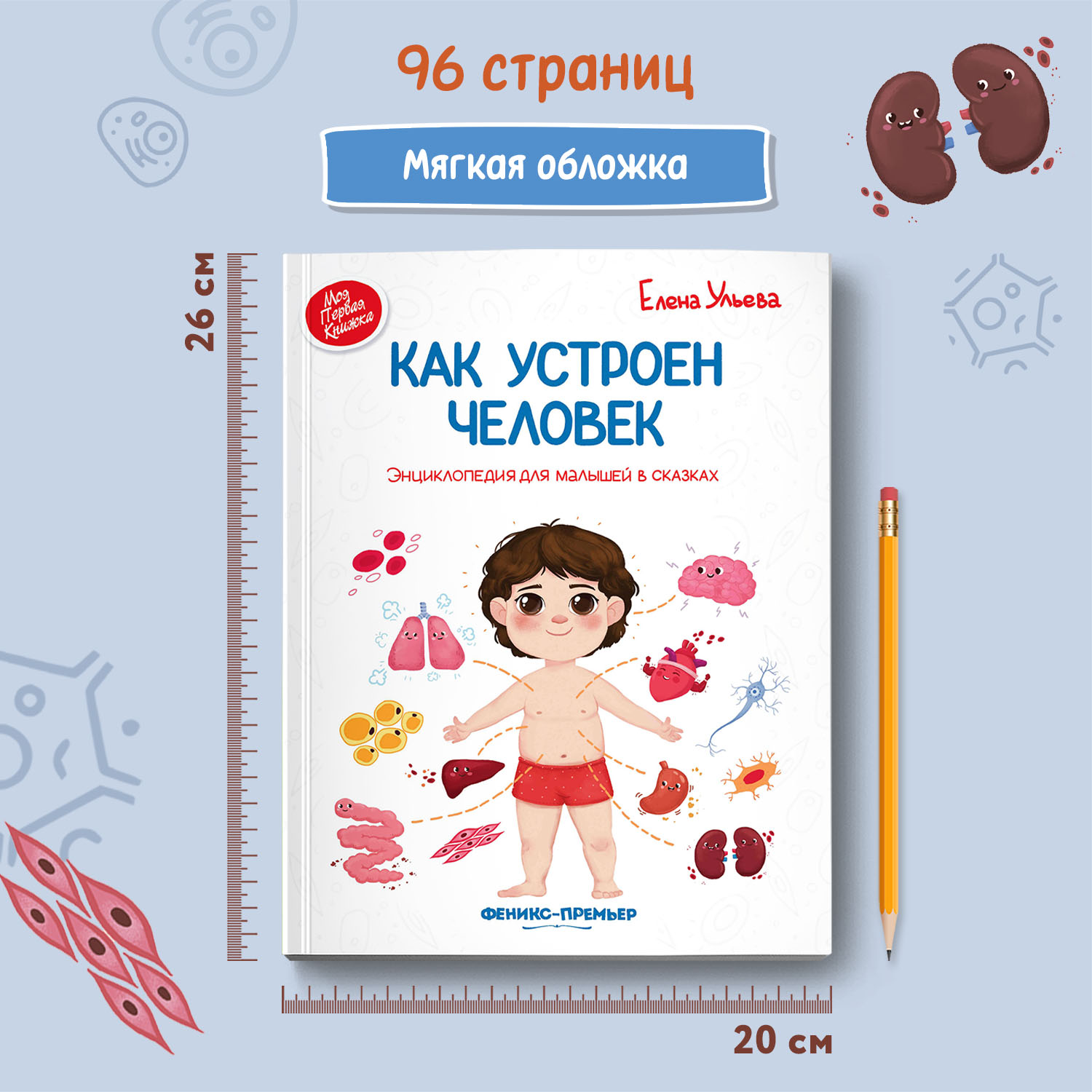 Книга Феникс Премьер Как устроен человек. Энциклопедия для малышей в сказках - фото 6