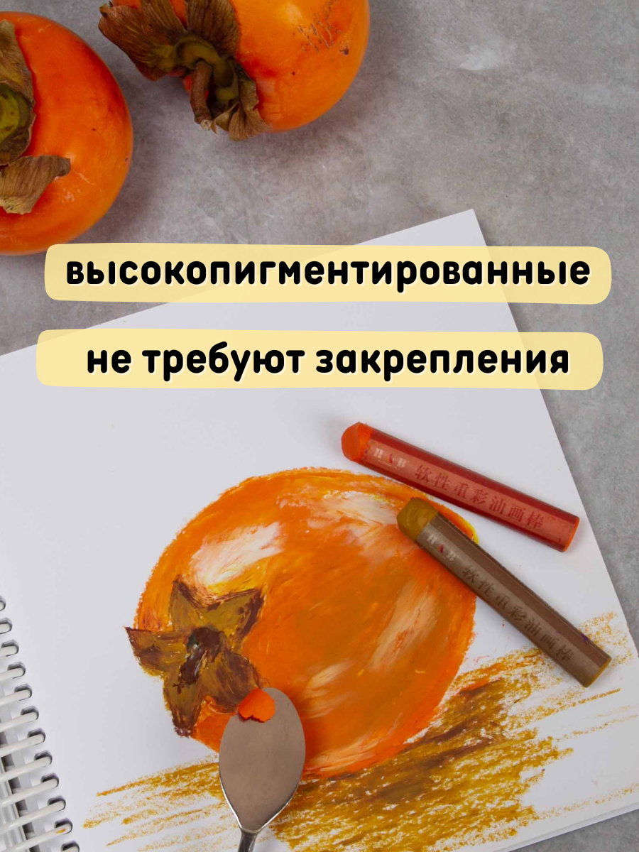 Пастель масляная CMGS 24 шт. - фото 3