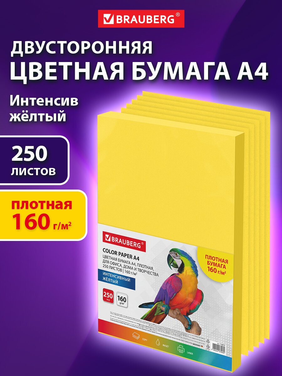 Изображение товара Цветная плотная бумага А4 Brauberg 160 г/м2 250 листов желтая Изображение товара Цветная плотная бумага А4 Brauberg 160 г/м2 250 листов желтая