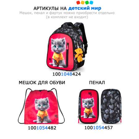 Пенал футляр School Standard