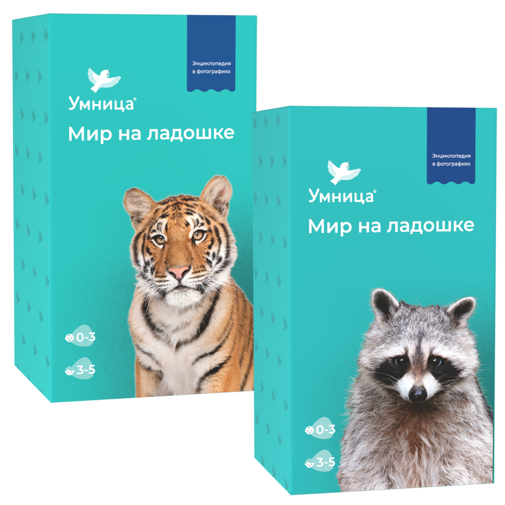 Развивающие игры Умница Мир на ладошке 2в1. Детская энциклопедия. Тигр и Енот - фото 1
