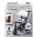 Трехколесный велосипед 41-й Меридиан 10 дюймов