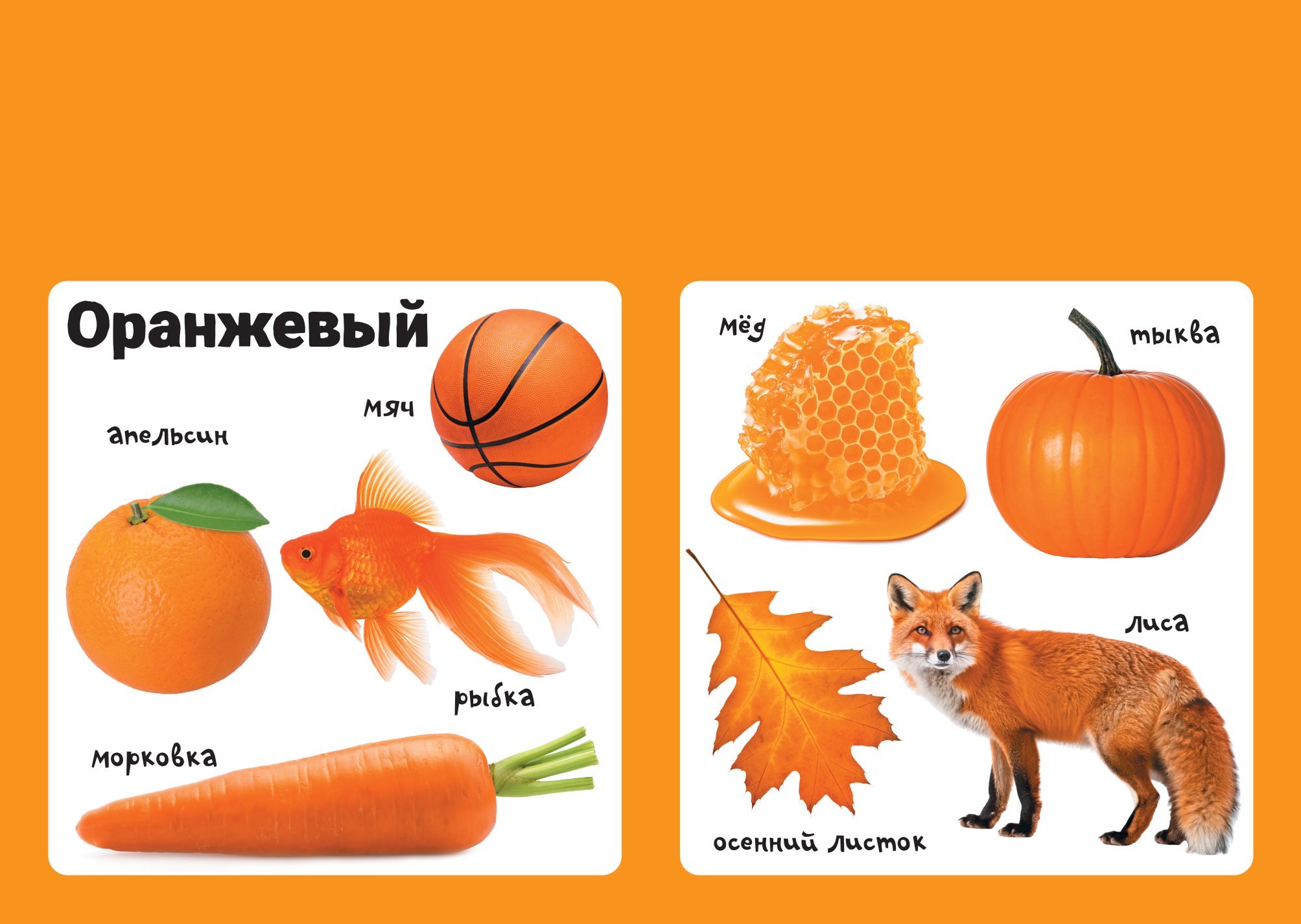 Книга АСТ Мягкая книжка для малыша Цвета - фото 4