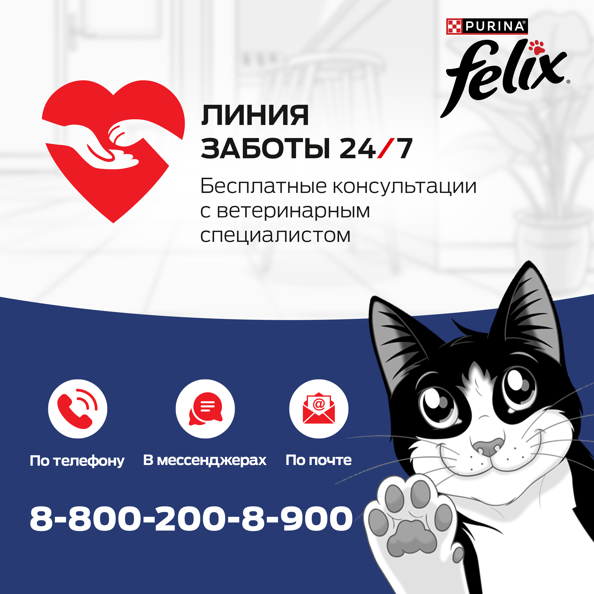 Корм для кошек Felix 75г для взрослых с лососем в соусе - фото 15
