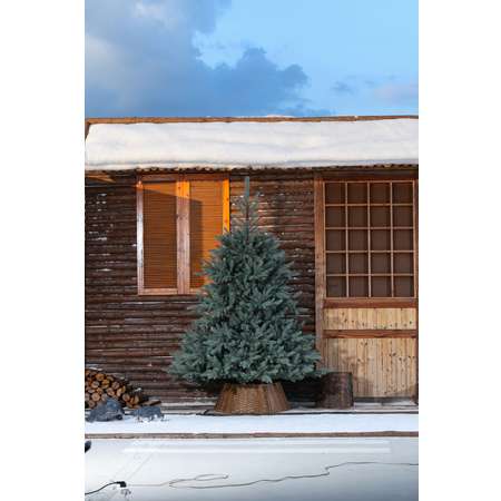 Елка искусственная литая BINOSHE Alpine Blue 240 см