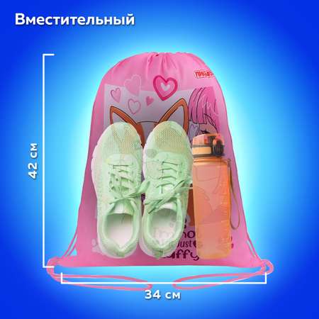 Мешок для обуви Пифагор