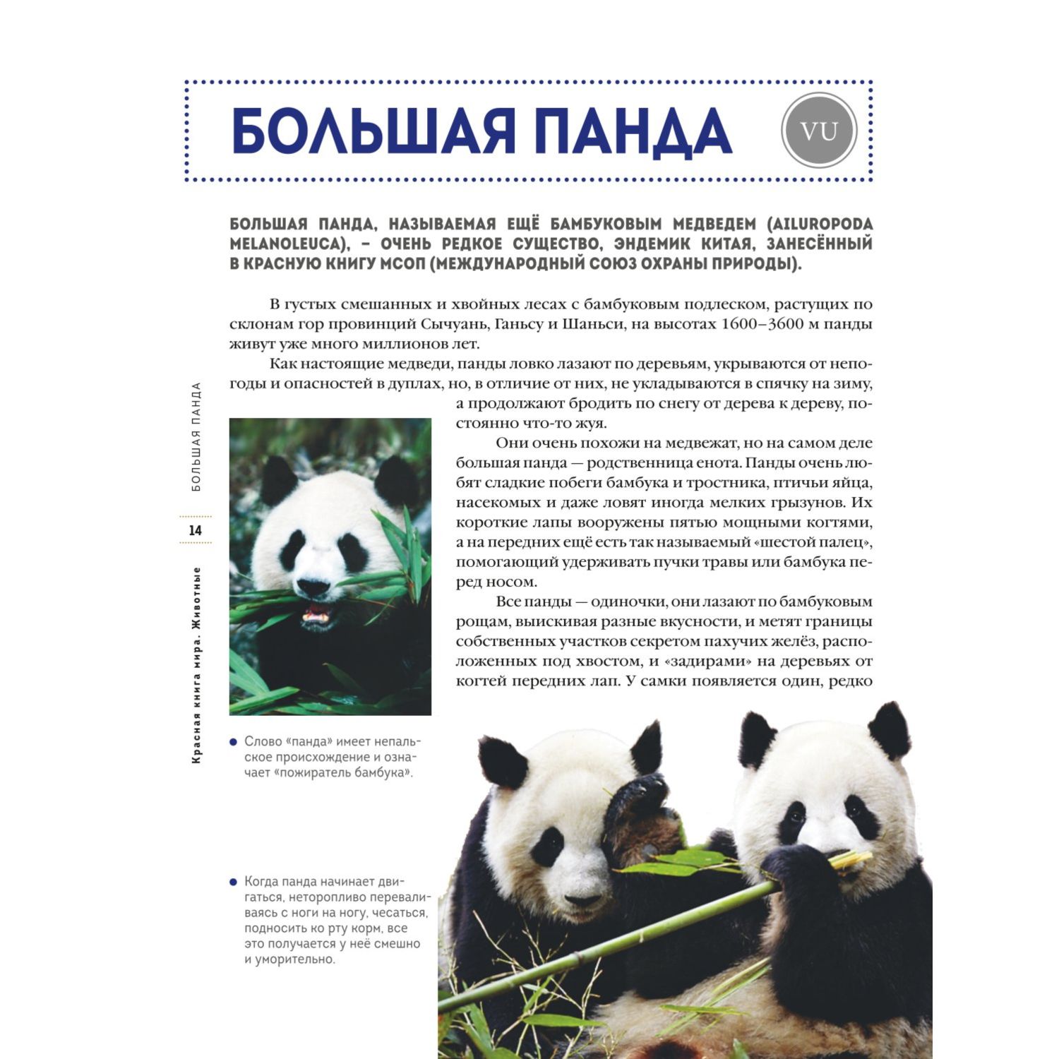 Книга Эксмо Красная книга мира Животные - фото 9