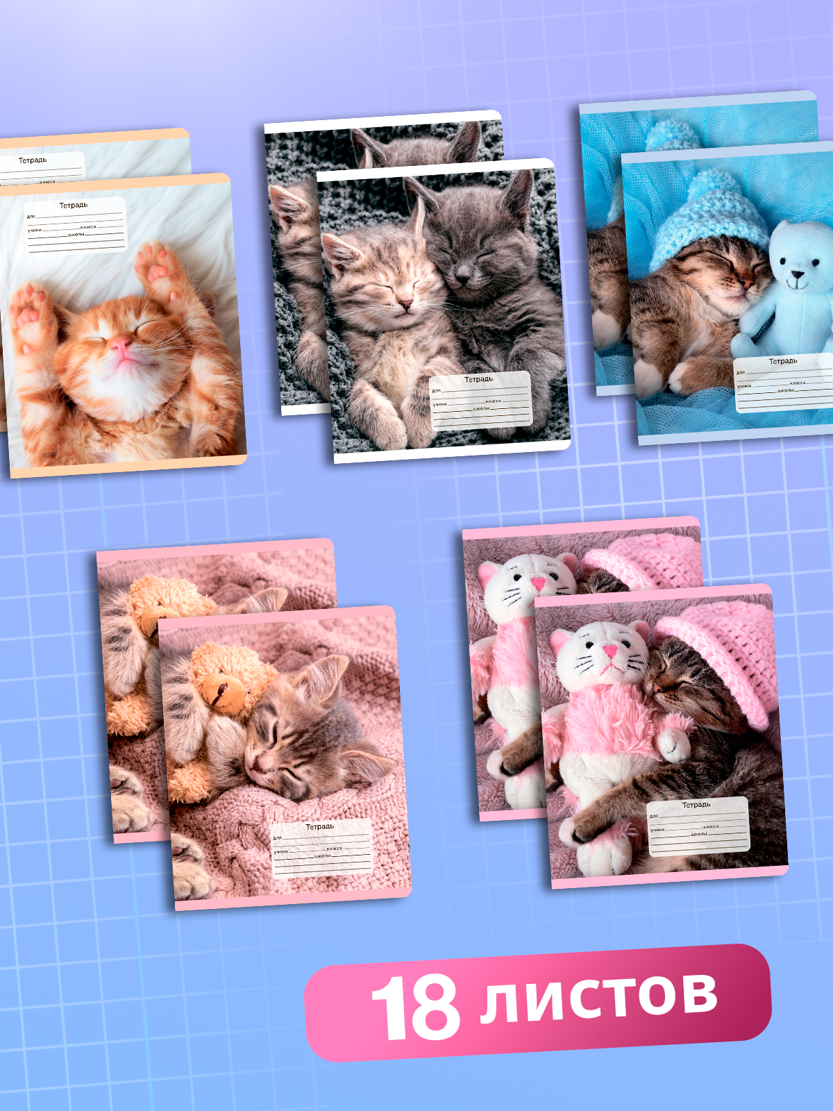 Тетрадь AXLER клетка 18 лист. 10 шт. - фото 4