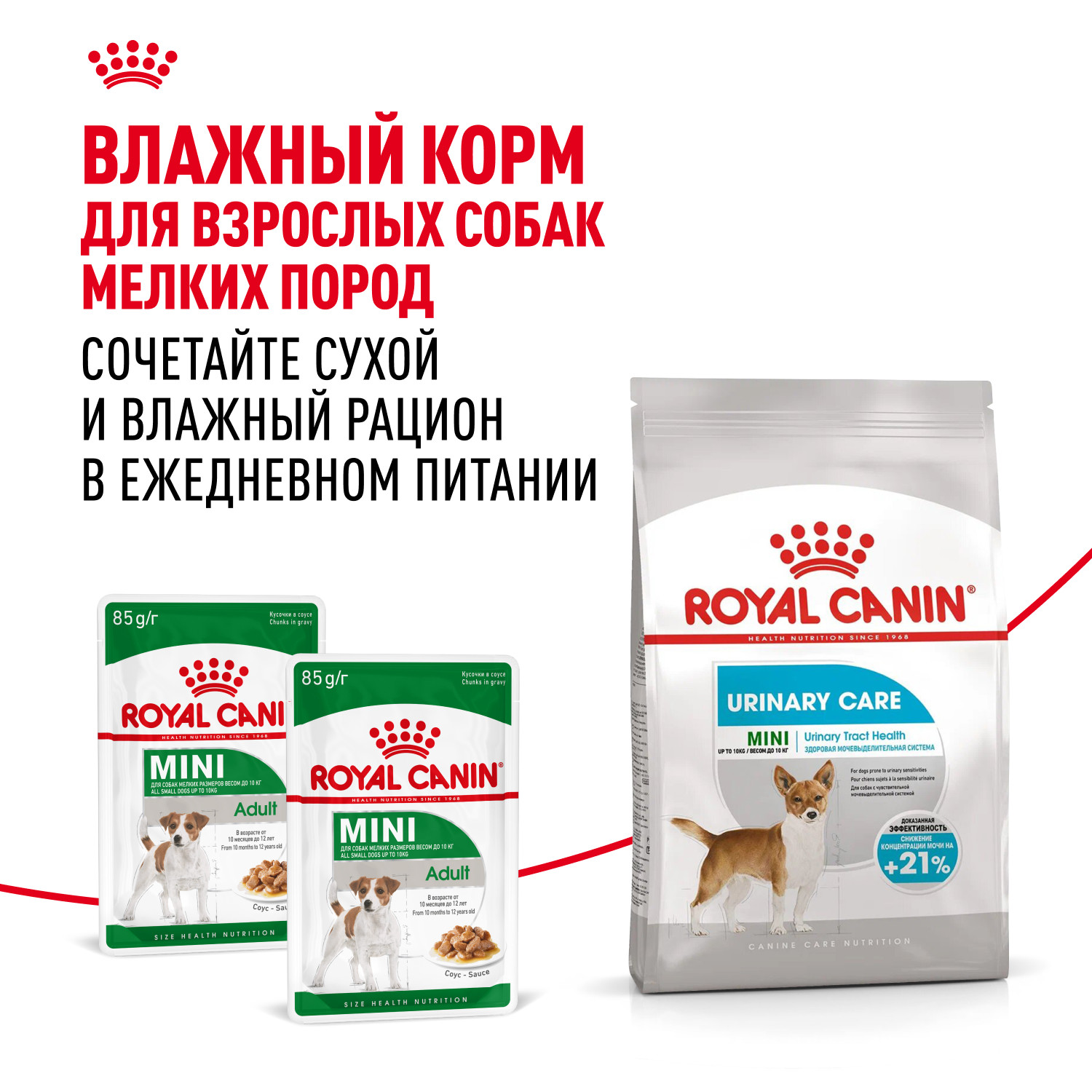 Корм для собак ROYAL CANIN Mini Urinary Care мелких пород профилактика МКБ 1кг - фото 9