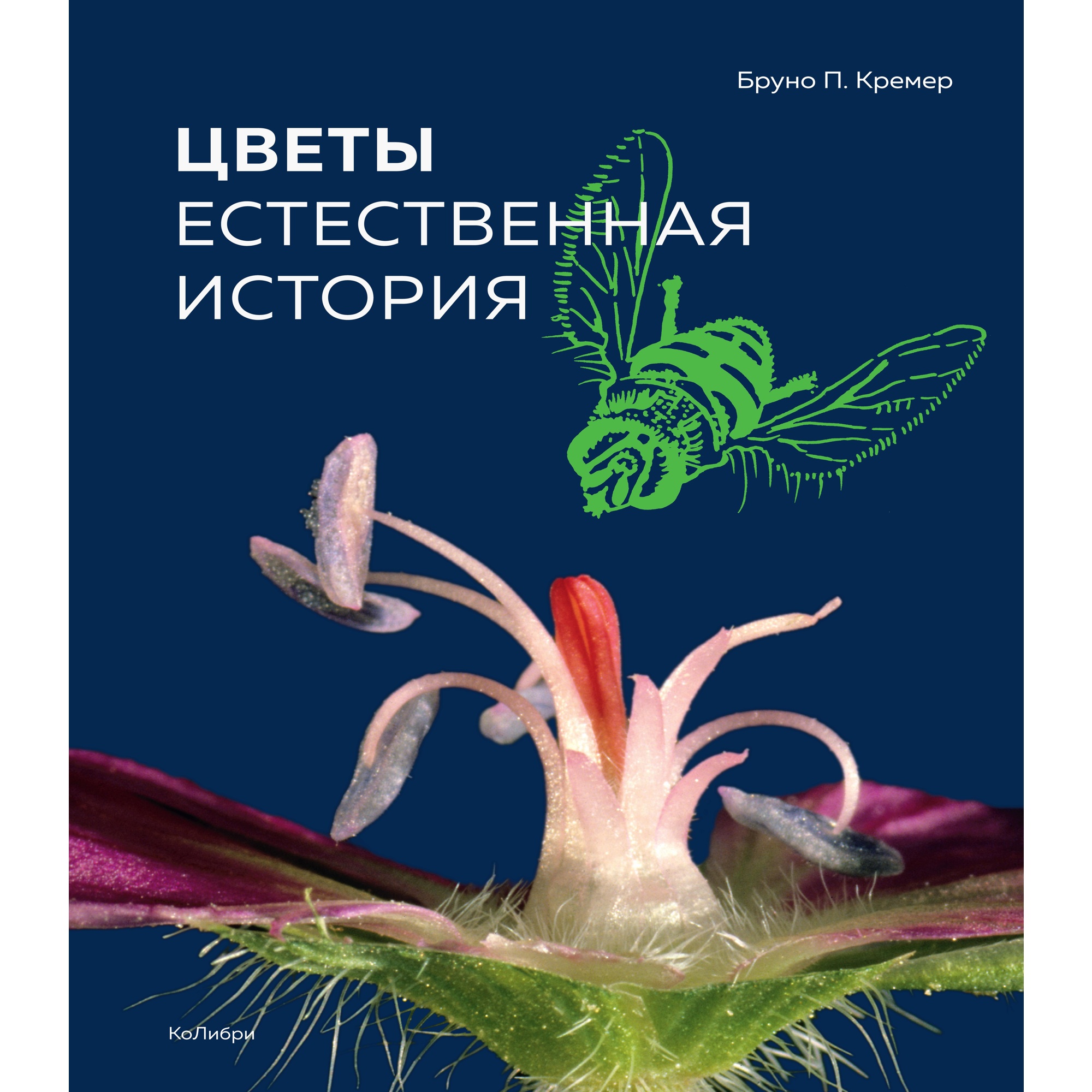 Книга КОЛИБРИ Цветы. Естественная история Кремер Б.П. Серия: Новый натуралист - фото 1