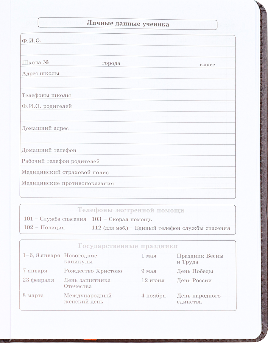 Дневник Prof-Press Печать цв.фольгой российский герб коричневый кожз - фото 4