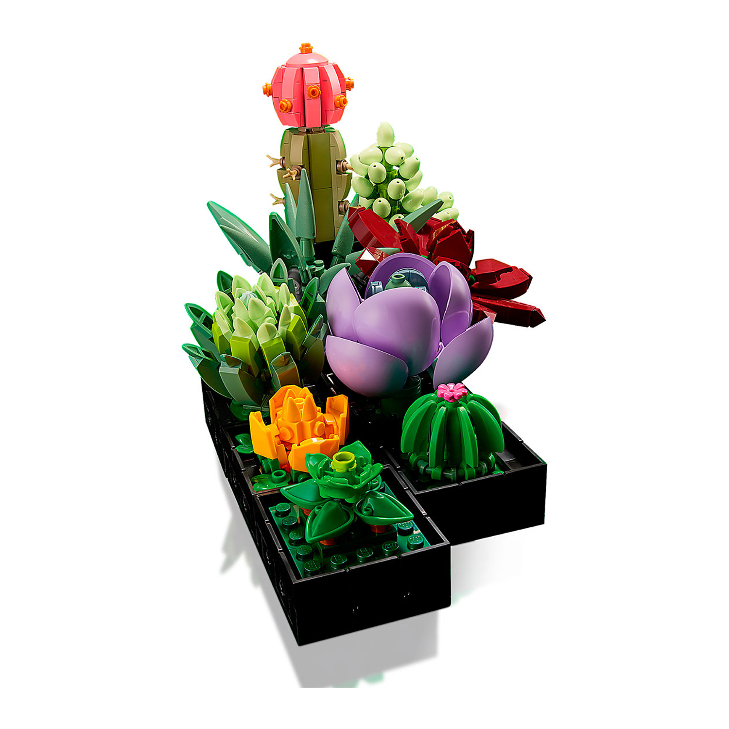 Конструктор LEGO Botanicals Кактусы 771 дет. - фото 7