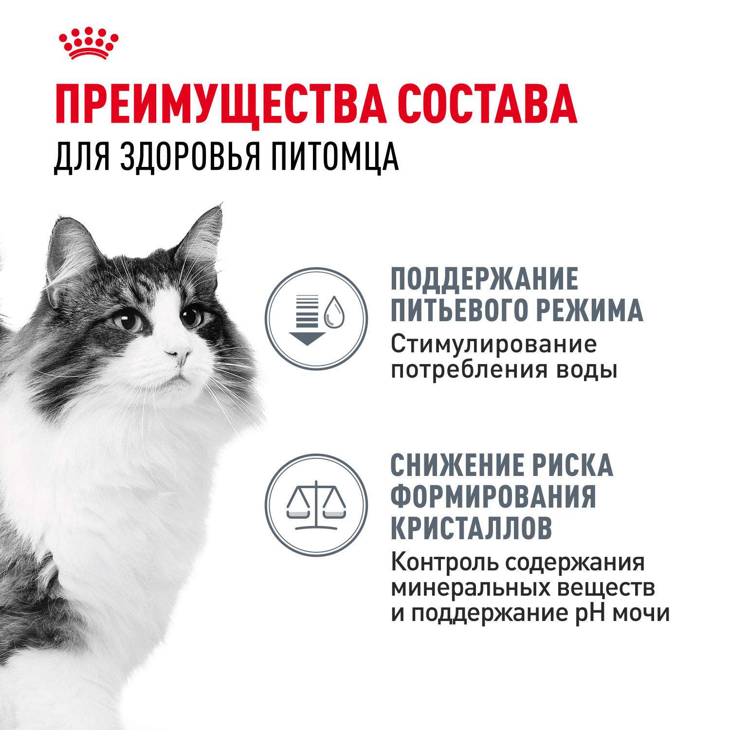 Корм для кошек ROYAL CANIN Urinary Care для поддержания здоровья мочевыделительной системы 85г - фото 3