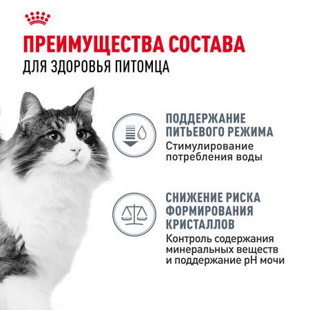 Корм для кошек ROYAL CANIN Urinary Care для поддержания здоровья мочевыделительной системы 85г