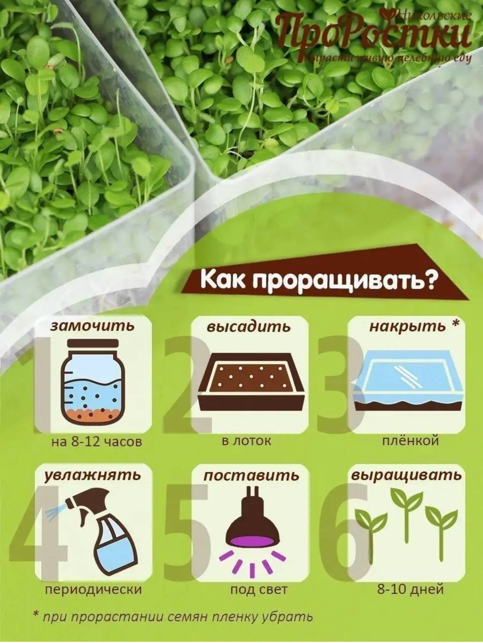 Семена для микрозелени MegaMedia брокколи - фото 8