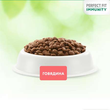 Корм для кошек Perfect Fit 1.1кг Immunity для поддержания иммунитета говядина-семена льна-голубика сухой