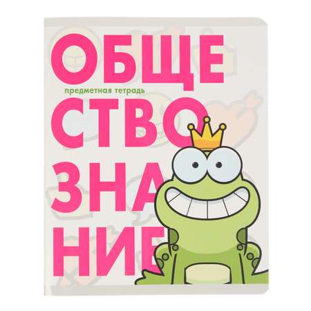 Тетрадь Erhaft 48 лист. (Обществознание)