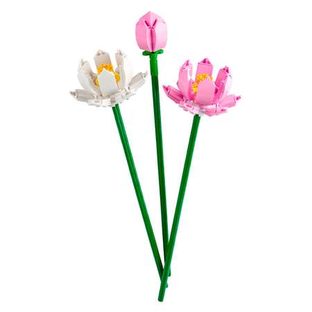 Конструктор LEGO Botanicals 220 дет.