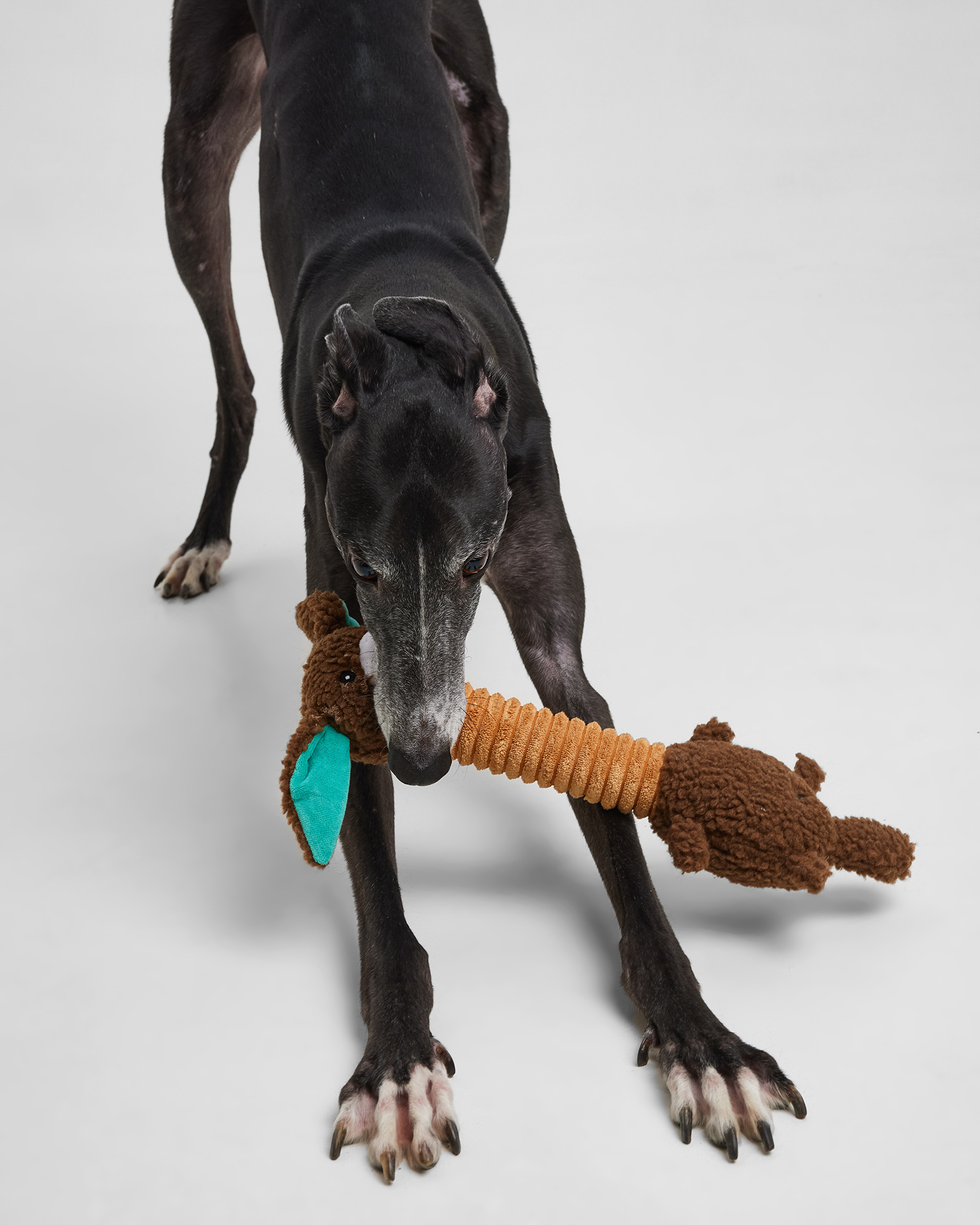 Игрушка для собак Barbaks Заяц-длинношей хрустит шуршит гудит 43см - фото 5