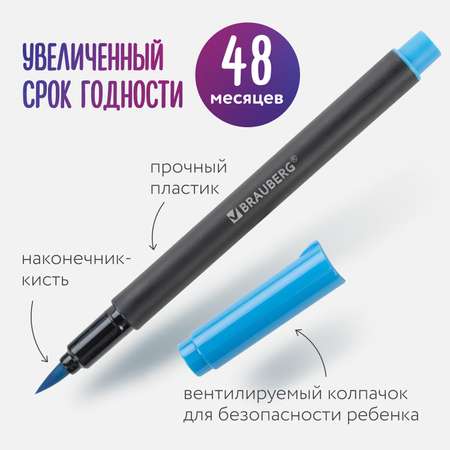 Фломастеры Brauberg 12 цв.