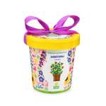 Набор для выращивания Happy Plant