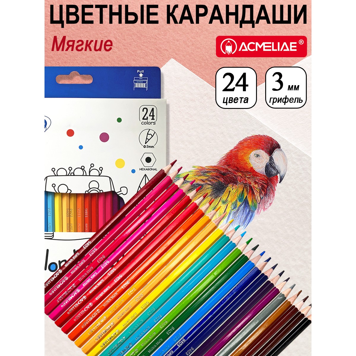 Карандаши цветные ACMELIAE 24 шт. - фото 1