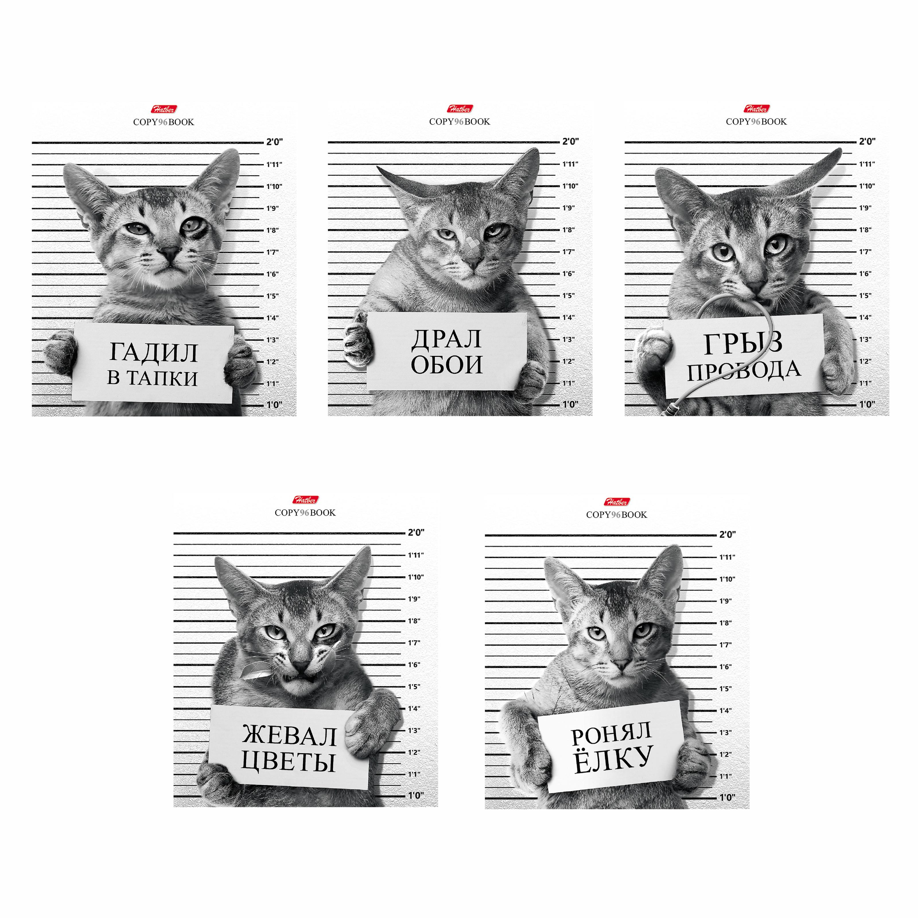 Изображение товара Общая тетрадь Hatber клетка 96 листов в ассортименте А5